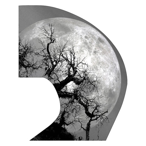 Super-Swing-Digital-Flag-MTO-SSDIGI210