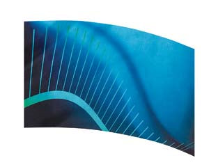 Digital Print Flag #028 Color Guard Flag-Styleplus-SMITH WALBRIDGE BAND PRODUCTS