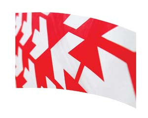 Digital Print Flag #048 Color Guard Flag-Styleplus-SMITH WALBRIDGE BAND PRODUCTS