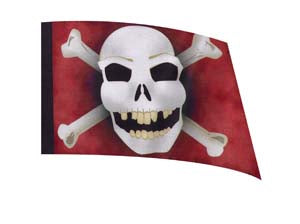 Digital Print Flag #152 Color Guard Flag-Styleplus-SMITH WALBRIDGE BAND PRODUCTS