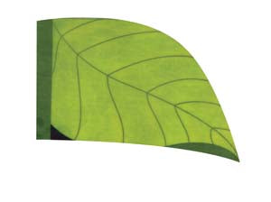 Digital Print Flag #156 Color Guard Flag-Styleplus-SMITH WALBRIDGE BAND PRODUCTS