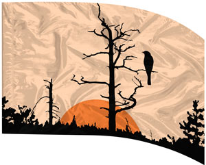 Digital Print Flag #413 Color Guard Flag-Styleplus-SMITH WALBRIDGE BAND PRODUCTS