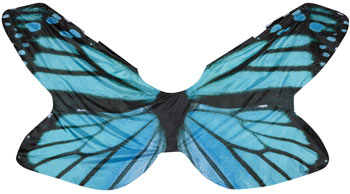 Digital Butterfly Wings Blue-Styleplus-SMITH WALBRIDGE BAND PRODUCTS