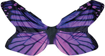 Digital Butterfly Wings Purple-Styleplus-SMITH WALBRIDGE BAND PRODUCTS