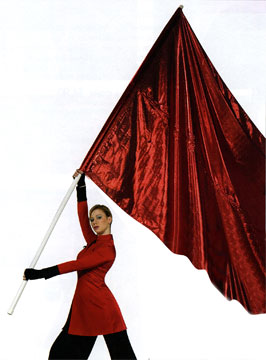 Two-Piece Flexible 10' Bungee Pole-Styleplus-SMITH WALBRIDGE BAND PRODUCTS