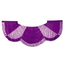 Stardust Wings 6-Styleplus-SMITH WALBRIDGE BAND PRODUCTS