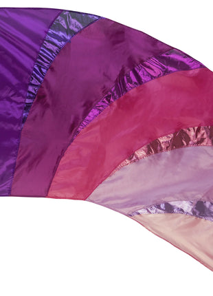 dsi-772305-color-guard-flag