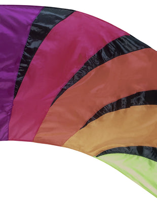 dsi-772307-color-guard-flag