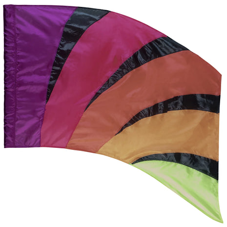 dsi-772307-color-guard-flag