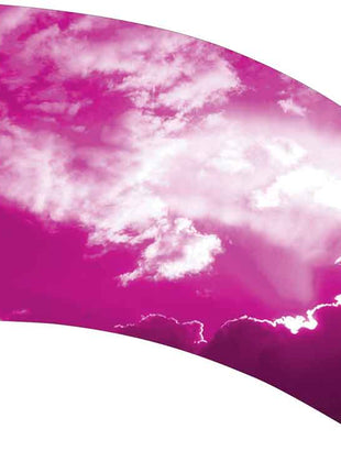 SW208-color-guard-flag