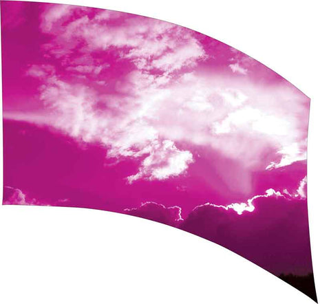 SW208-color-guard-flag