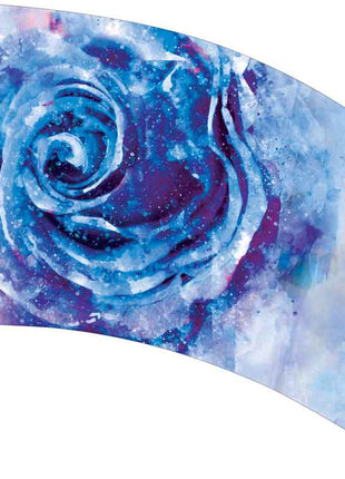 SW210-color-guard-flag