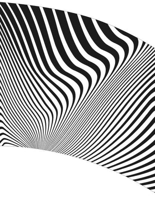 SW214-color-guard-flag