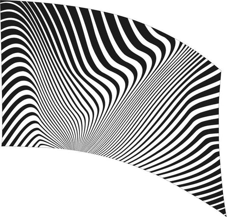 SW214-color-guard-flag