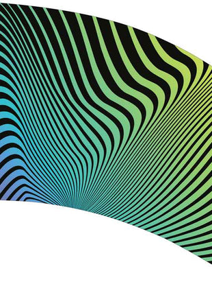 SW219-color-guard-flag