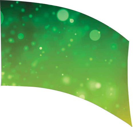 SW221-color-guard-flag