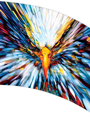 SW225-color-guard-flag