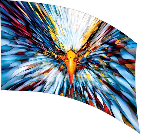 SW225-color-guard-flag