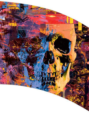 SW229-color-guard-flag