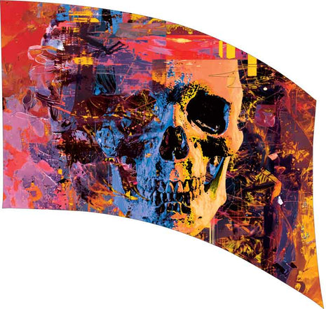 SW229-color-guard-flag