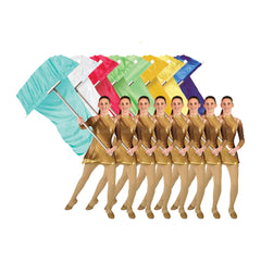 Styleplus-T-pole-flyover-flags