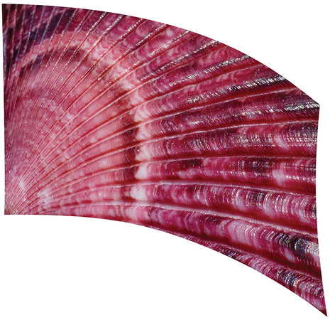 TEL077 - Smith Walbridge Band Products