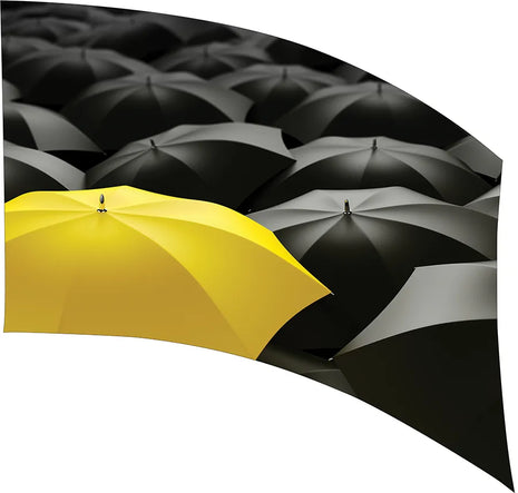 TEL224AH - Smith Walbridge Band Products