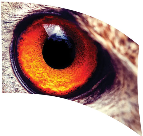 TES003 - Smith Walbridge Band Products