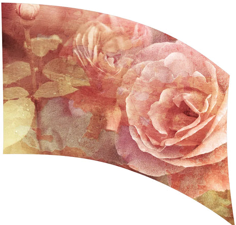 TES004 - Smith Walbridge Band Products