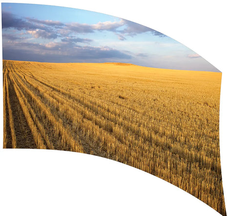 TES006 - Smith Walbridge Band Products