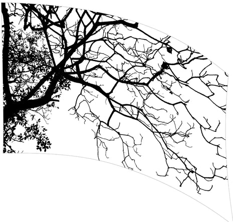 TES009 - Smith Walbridge Band Products