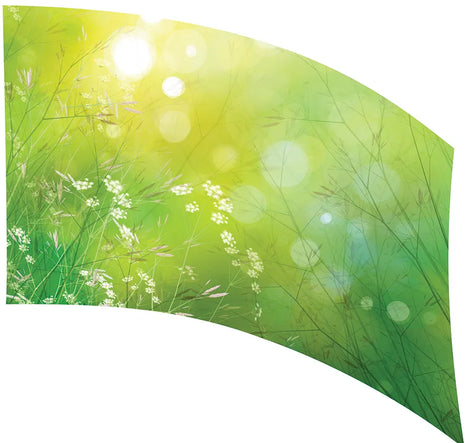 TES011 - Smith Walbridge Band Products