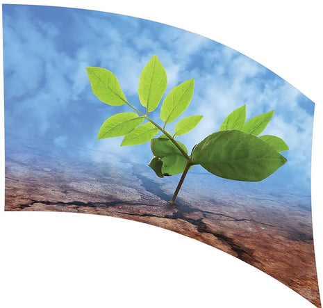 TES013 - Smith Walbridge Band Products