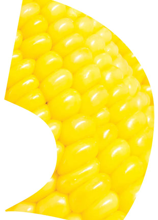 TES017
