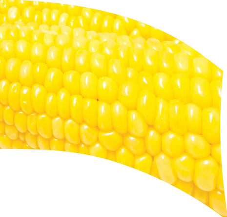 TES017 - Smith Walbridge Band Products