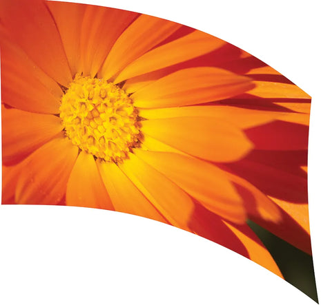 TES019 - Smith Walbridge Band Products