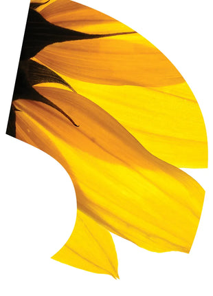 TES020