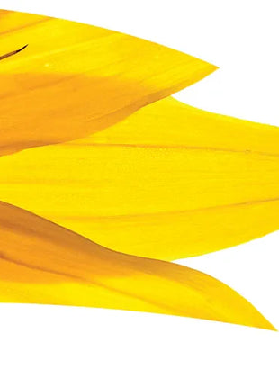 TES020