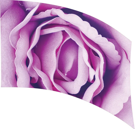 TES021 - Smith Walbridge Band Products