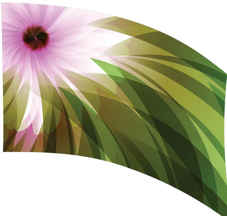 TES023 - Smith Walbridge Band Products