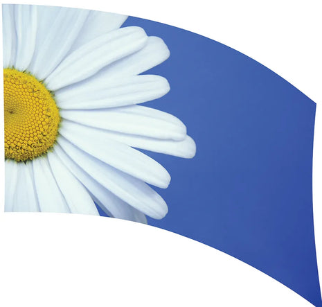 TES024 - Smith Walbridge Band Products