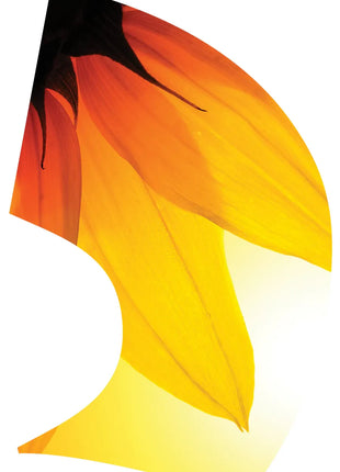 TES028