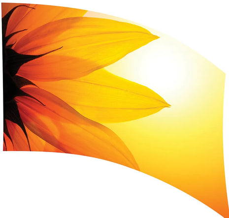 TES028 - Smith Walbridge Band Products