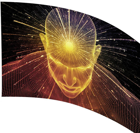 TTE147 - Smith Walbridge Band Products