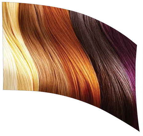 TTH044 - Smith Walbridge Band Products