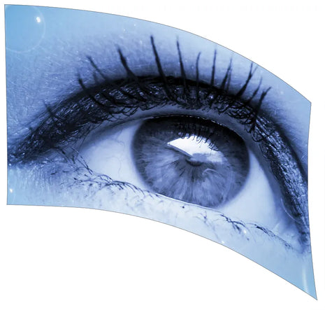 TTH046 - Smith Walbridge Band Products