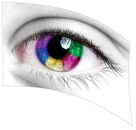 TTH085 - Smith Walbridge Band Products