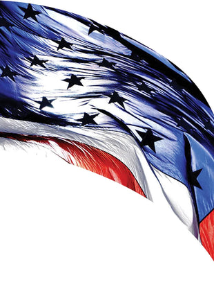 TTH183 - Smith Walbridge Band Products