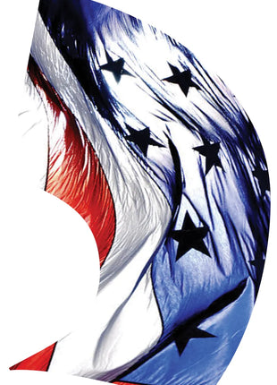 TTH183 - Smith Walbridge Band Products