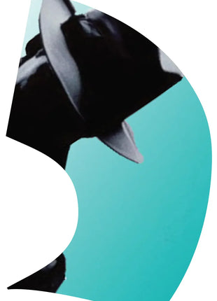 TTH187 - Smith Walbridge Band Products